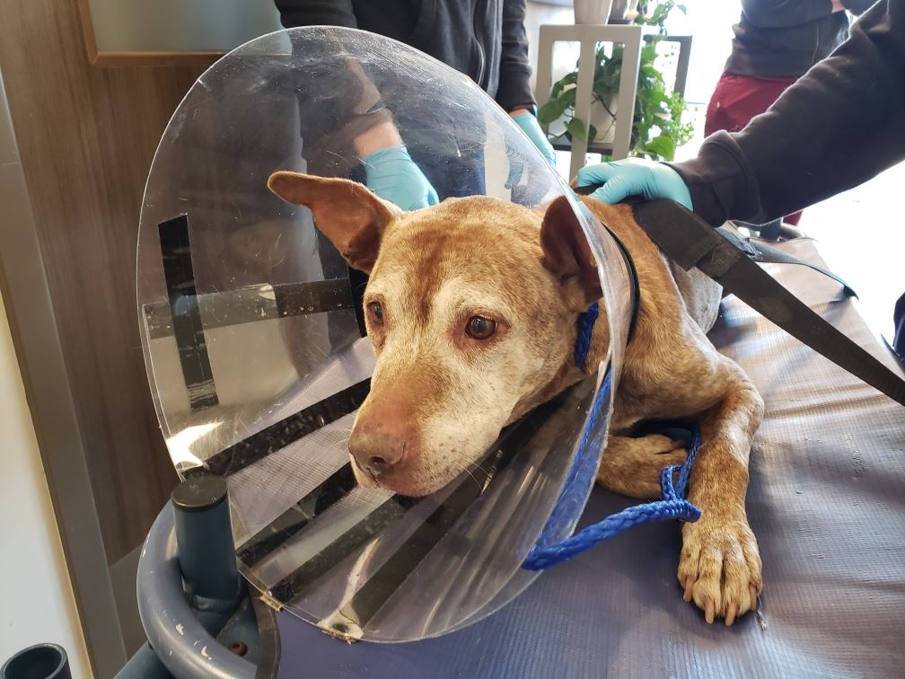 original-BE08F18D-D2DC-44B9-B913-EED82342F0FD