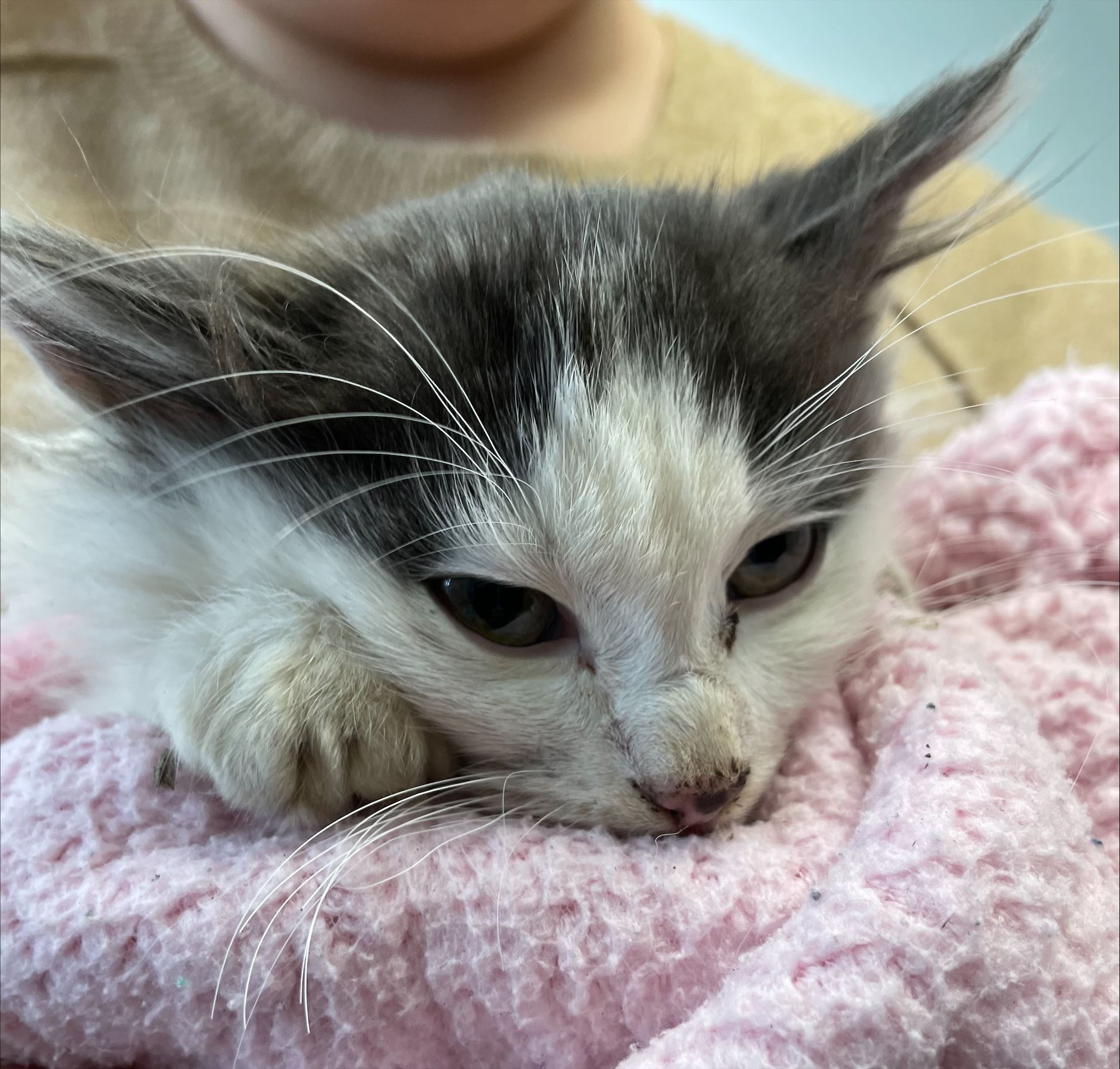 processed-CABAB714-9C2A-4FF5-BFD9-98972690B9A4