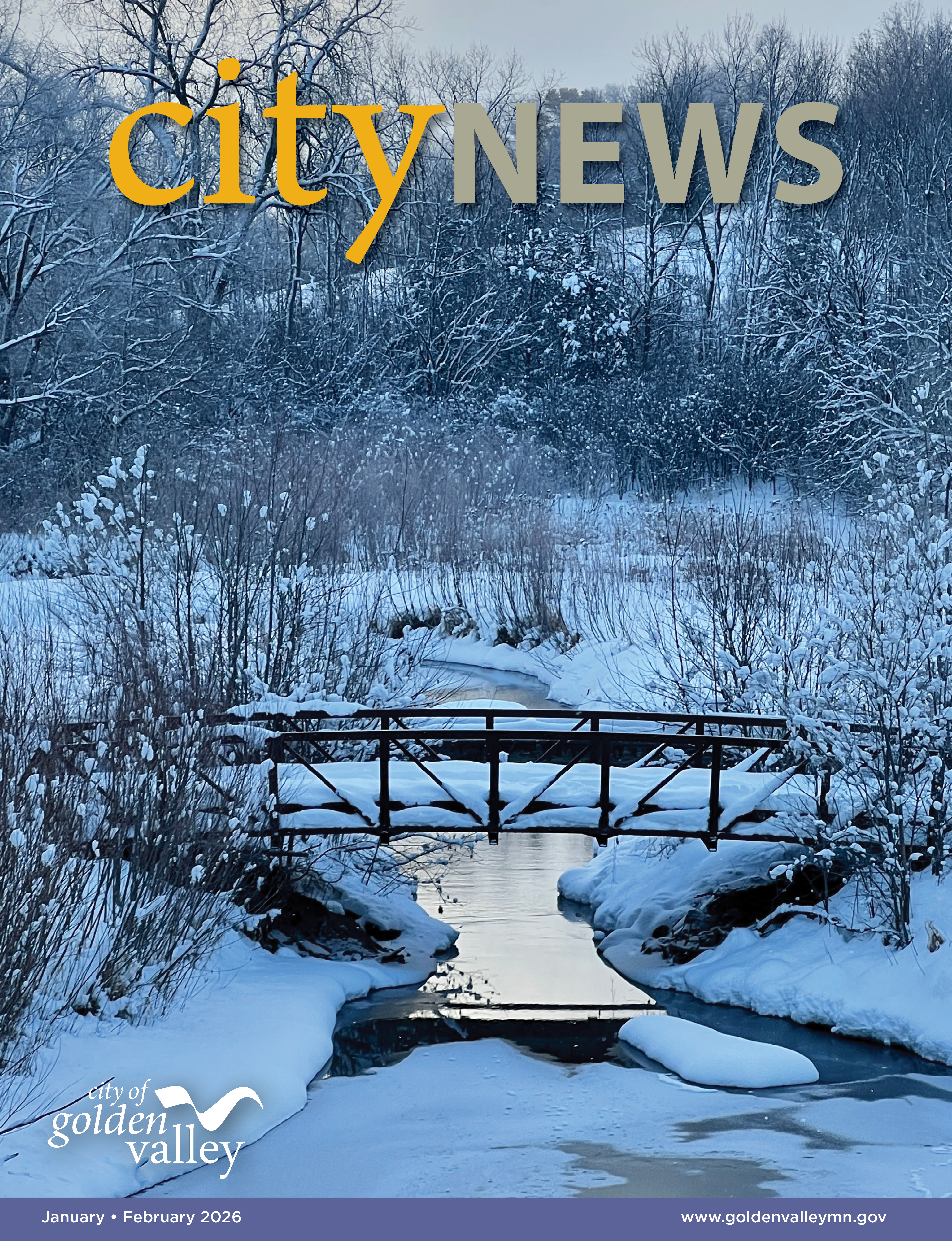 Image of a bridge over a river with everything covered in snow.